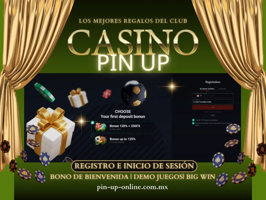pin up casino login